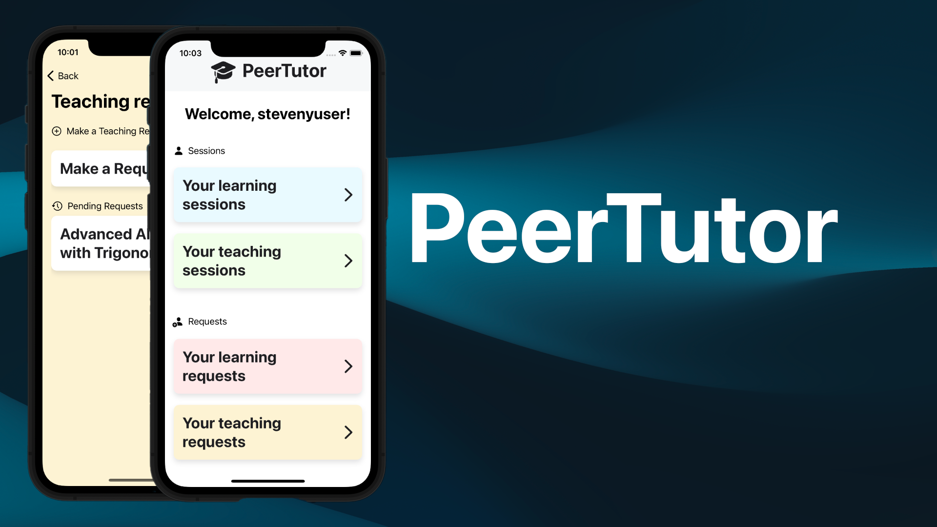 PeerTutor